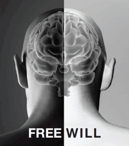 free-will2brain